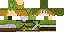 Texture for zelda