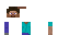 Texture for Flat Steve