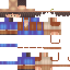 Texture for villager