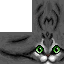 Texture for dg