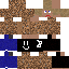 Texture for Herman/kabab