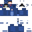 Texture for ELLL HAWK
