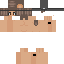 Texture for pmc2