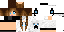 Texture for ds