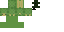Texture for turtle