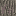 Texture for бревно акации