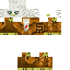 Texture for SouperSpider
