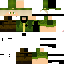 Texture for willirex