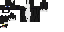 Texture for idk