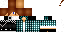 Texture for Swingi
