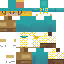 Texture for diego