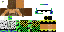 Texture for dico stu