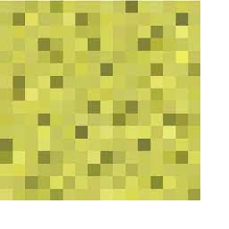 Texture for Eponge visible par xray 1