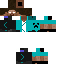 Texture for Steve