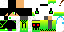 Texture for maxx