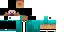 Texture for 312