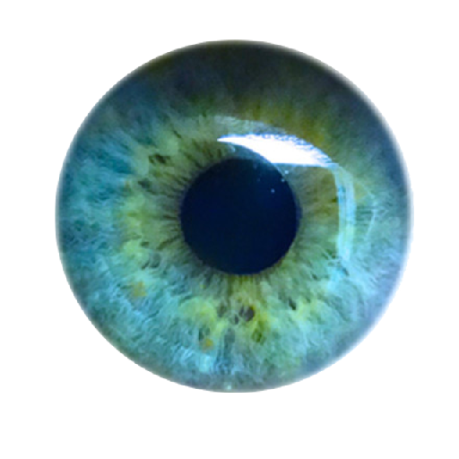 Texture for ender_eye