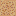 Texture for BackroomCarpet
