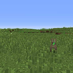 Texture for CC