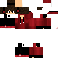 Texture for reverse_BR