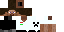 Texture for steve
