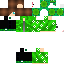 Texture for NYAN EN VERT