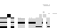 Texture for robot 2