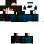 Texture for bot2
