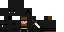 Texture for cake ninja