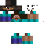 Texture for steve carga a barry
