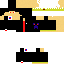 Texture for STEVE