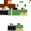 Texture for ds