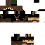 Texture for ninja