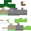 Texture for iemon