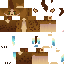 Texture for Steevee Persona
