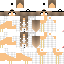 Texture for steve 