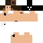 Texture for バットマン