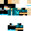 Texture for NETO2016