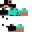 Texture for ss