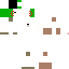Texture for algera