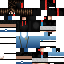 Texture for ds