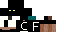 Texture for FROST01