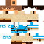 Texture for TAK Hylian
