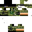 Texture for SkOrPioN2005