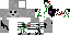Texture for Ender Skeleton