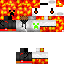 Texture for ninja
