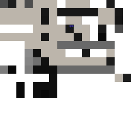 Texture for enderdragon