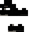 Texture for NINJA