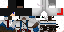 Texture for assassin mine craft