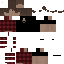 Texture for SkinBaseTest